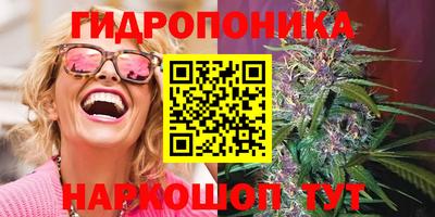 2c-b Кимры