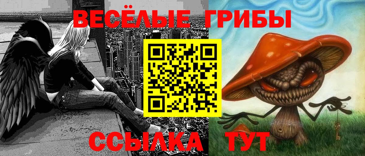 где купить наркоту  Псилоцибиновые грибы Magic Shrooms  Вход с VPN  Глазов 