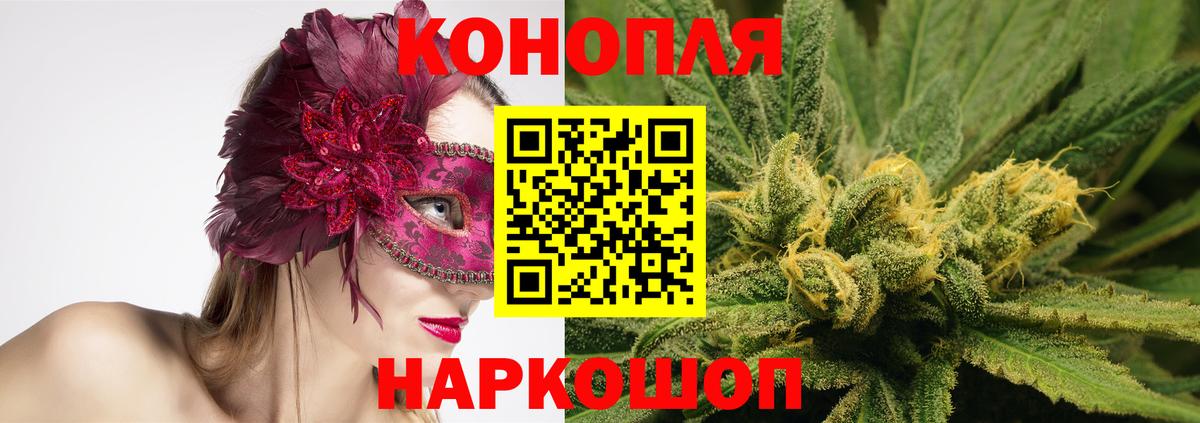 Бошки Шишки гибрид Глазов